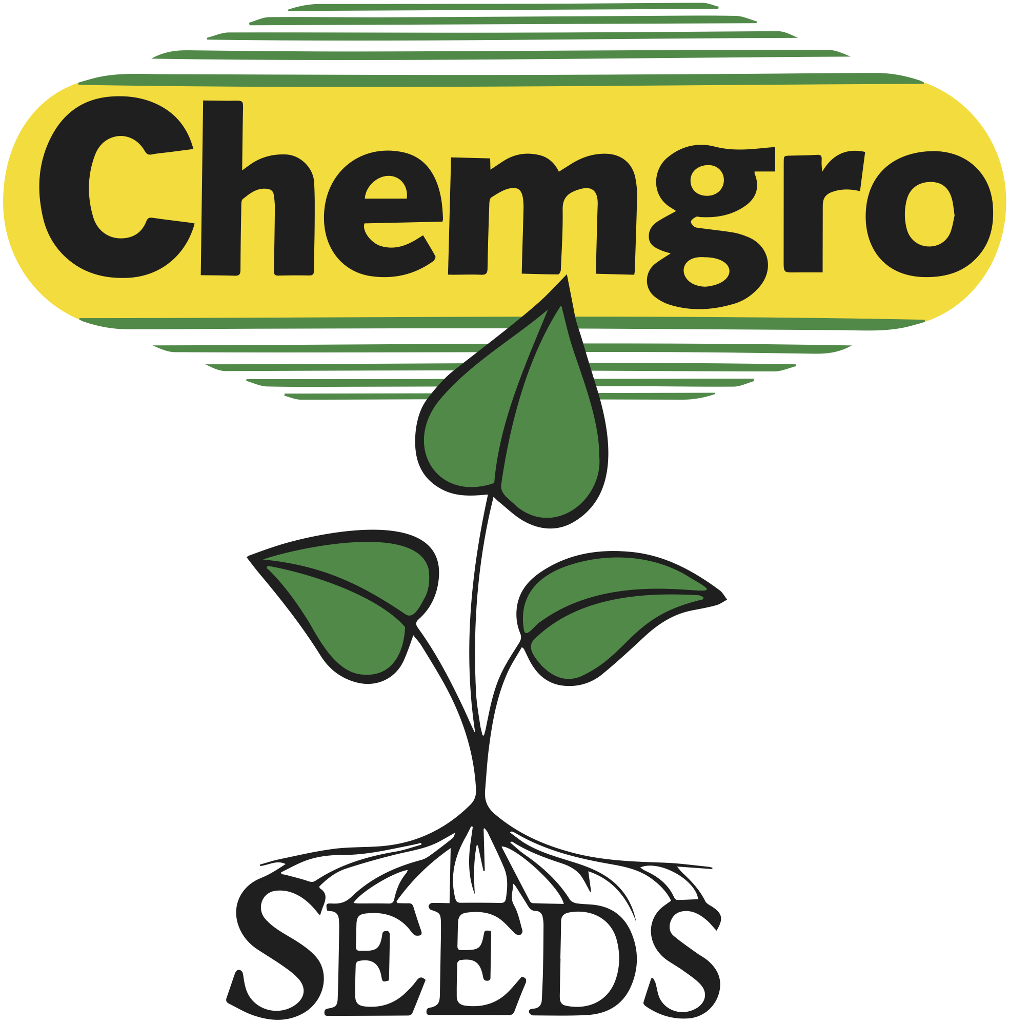 Chemgro Seeds, Inc. logo